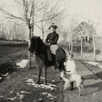 Harry Coulson, a girl, a dog and a pony