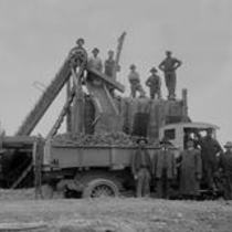 Loading a truck photograph, undated