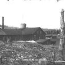 Niwot Mine and Mill (Ward, Colo.)
