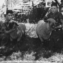 Agriculture