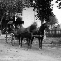 Buggies in town: Photo 1 (S-2865)