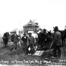 Street cars photographs: Photo Page 1