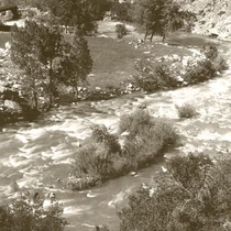 Mad Rush of Boulder Creek