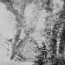 Pioneer portraits: Marinus Smith (pg. 12 #1)