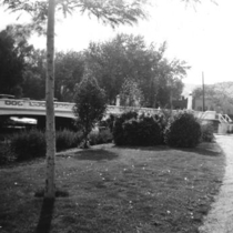 Bridges Boulder Creek at Broadway Street: Photo 3