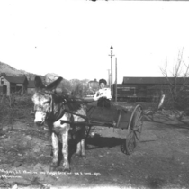Donkey carts with unidentified people: Photo 5 (S-2696)