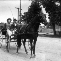 Buggies in town: Photo 5 (S-2856)