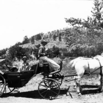 Excursion wagons Joe Lyman: Photo 2 (S-2844)