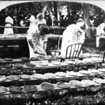 Longmont an early farm and pumpkin pies: Photo 2