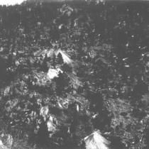 Salina, Summerville, and Ward: Photo 5