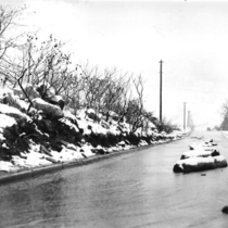 Flood of 1957 : Boulder, 9th Street: Photo 2