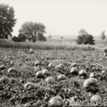Agriculture