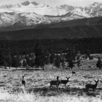 Rocky Mountain National Park snapshots: Photo 7