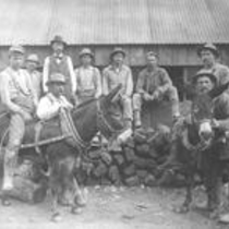 Wallstreet area mine