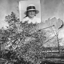 Bell family collage, [undated]