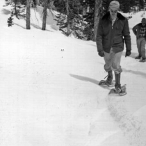 Water supply Watershed photographs [195-]: Photo 2