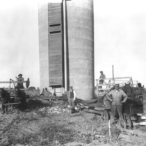 Siloing corn at the Thomas ranch in Boulder County, Colorado photograph, 1920
