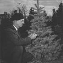 Christmas decorations, 1966