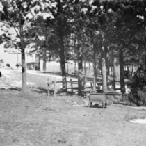 McCollister family: Photo 2