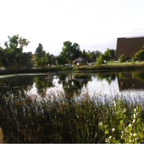 Burke Park: Photo 2