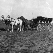Excursion wagons and stagecoaches: Photo 2