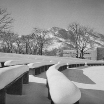 Parks and Recreation Department Central Park [1921-1969]: Photo 6