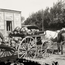 Watermelon wagon