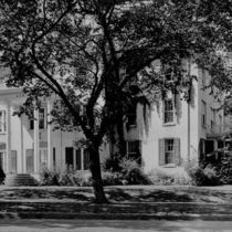 Fulton Terrace: Photo 6