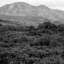 Eldorado Springs South Boulder Canyon: Photo 6