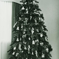 Christmas, 1971-1972: 222-3-38 Photo 2