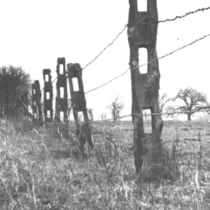 Fences in fields: Photo 3