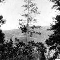 Dirt roads around Allenspark: Photo 4