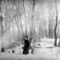 Cigarette Park in winter and summer