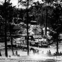 Teagarden camp photograph collection 1902