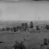 City from Huggins Park panorama, undated