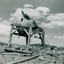 Caribou further decay in the 1950s: Photo 9
