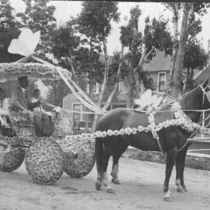 Floral Parade, 7 July 1905: Photo 4