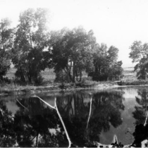 Smith's pond: Photo 1 (S-2282)