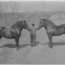 Agriculture