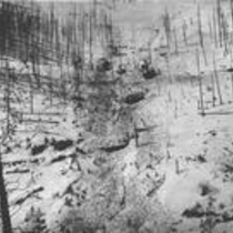 Railroad wreck on Grassy Mountain, 1901 April 18