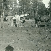 Jensen potato farm, circa 1920-1925: Photo 5
