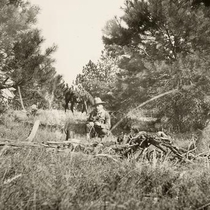 Rangers Trail photographs