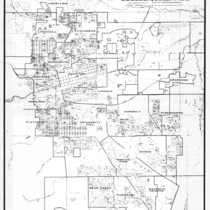 Preliminary landmark preservation neighborhood district map